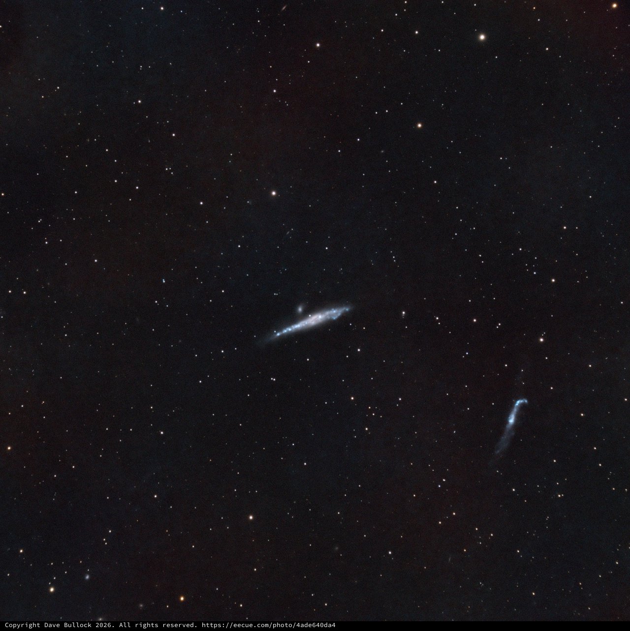 NGC 4631 - The Whale Galaxy in SHO Narrowband