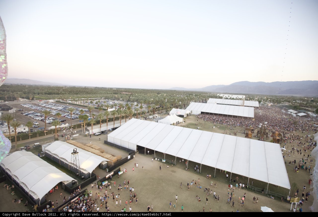 Festival Frenzy
