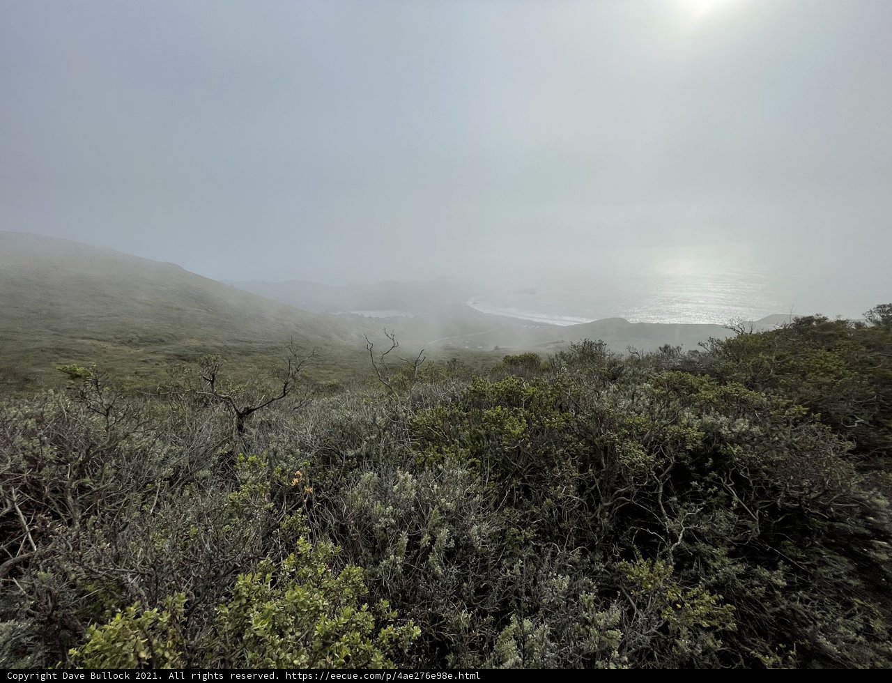 Misty View of the Pacific Coast