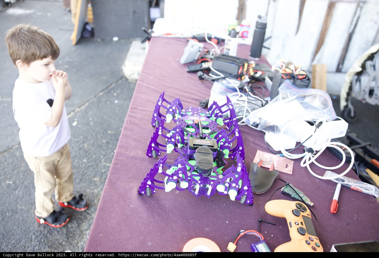 **Curious Minds and Mechanical Wonders**