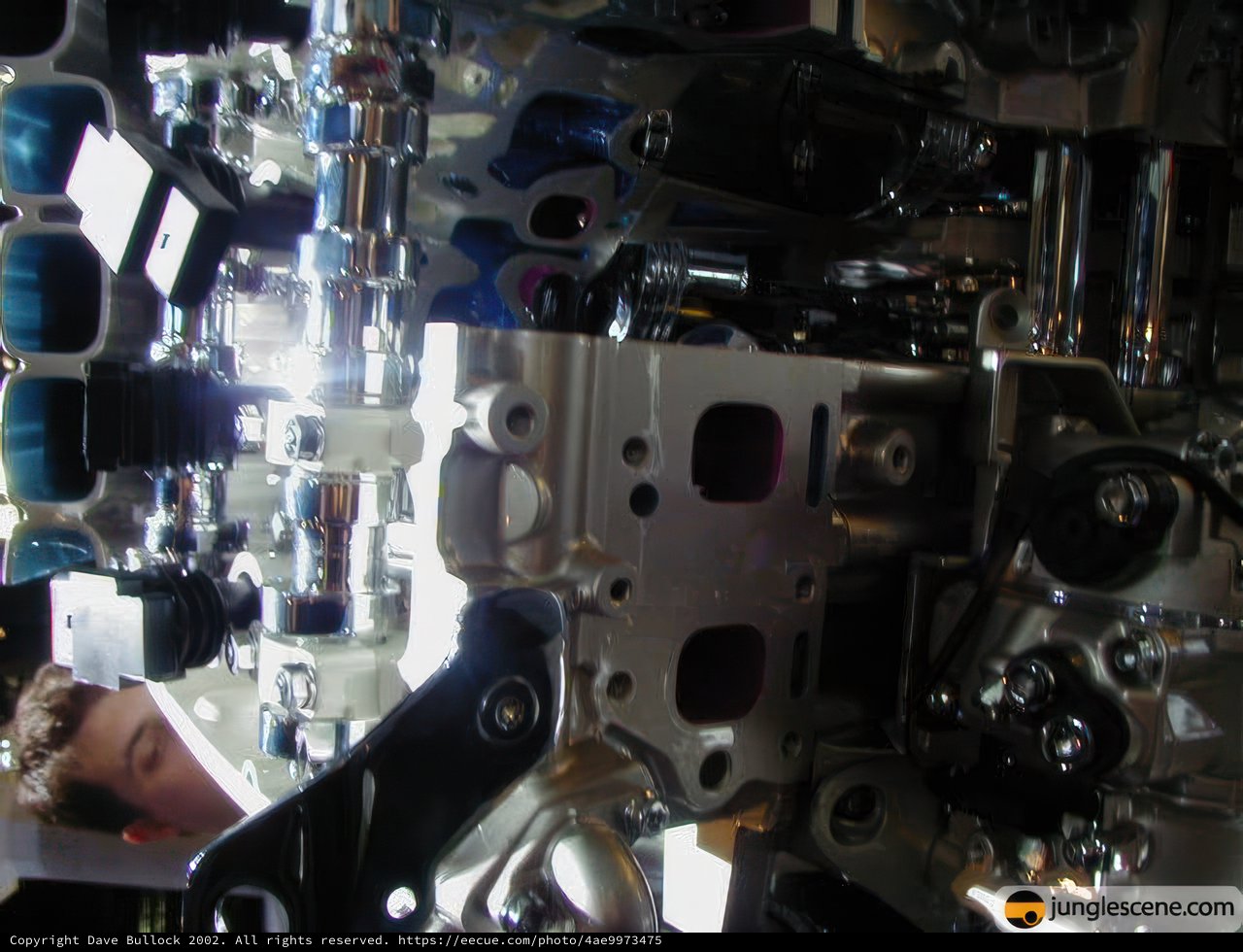 Examining the Heart of the Machine