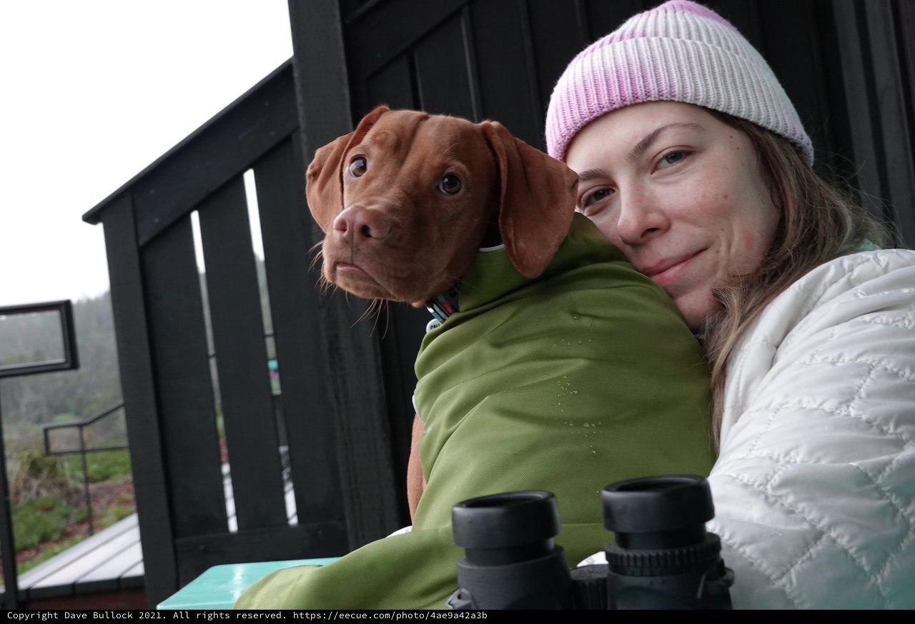 Woman and Dog Share Cozy Outdoor Moment