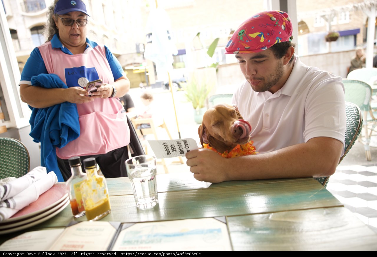 Casual Afternoon at the Cafe