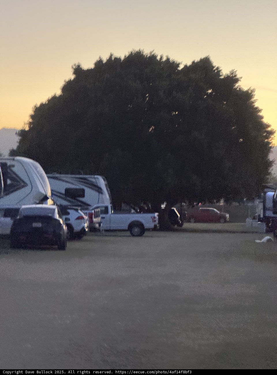 Sunset Parking Symphony