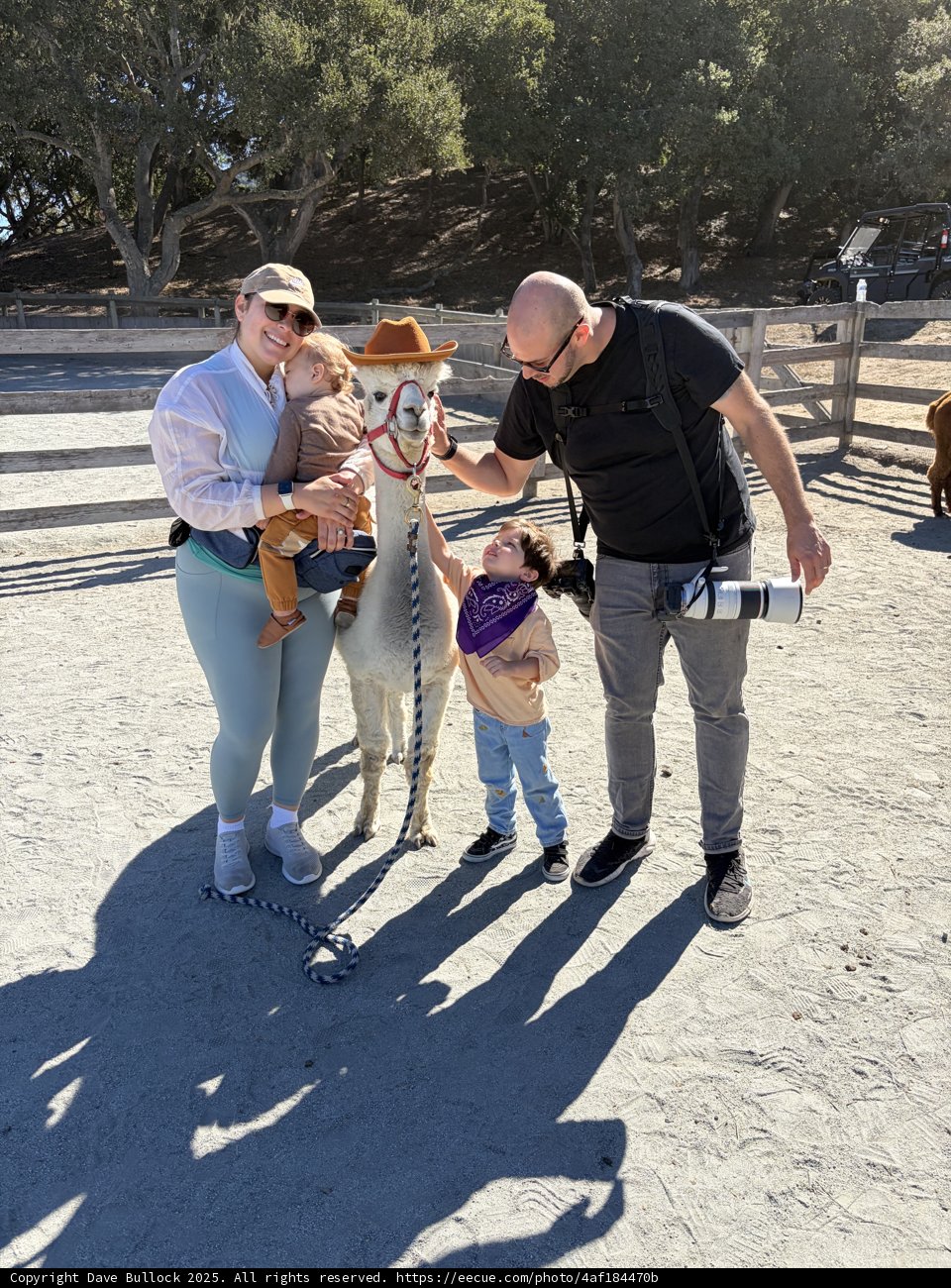 A Day in the Sun with New Friends