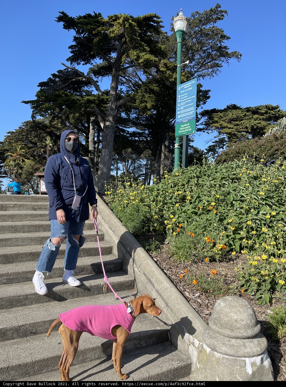 Pink Coat and Pooch on Alamo Square Stairs