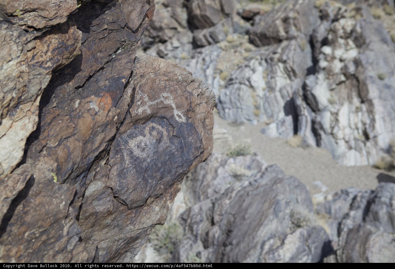 Ancient Rock Carving in the Desert