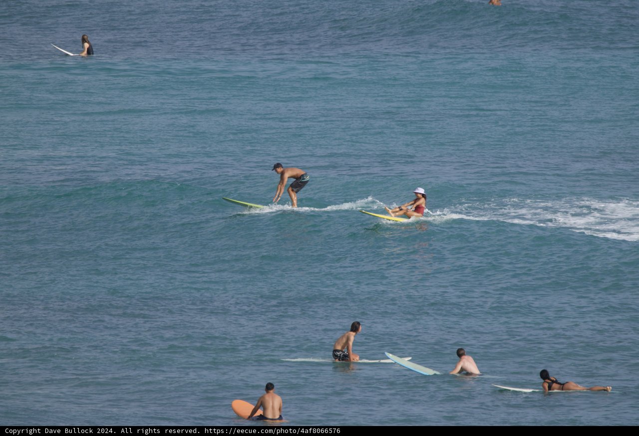 Wave Riders: A Surfing Day in Hawaii 2024