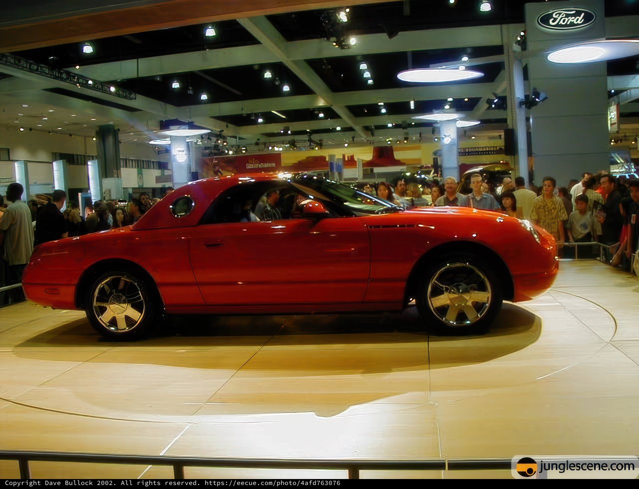 Red Sports Car Steals the Show