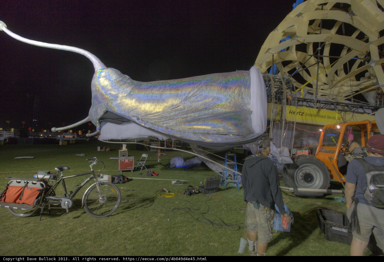 Building the Big Fish