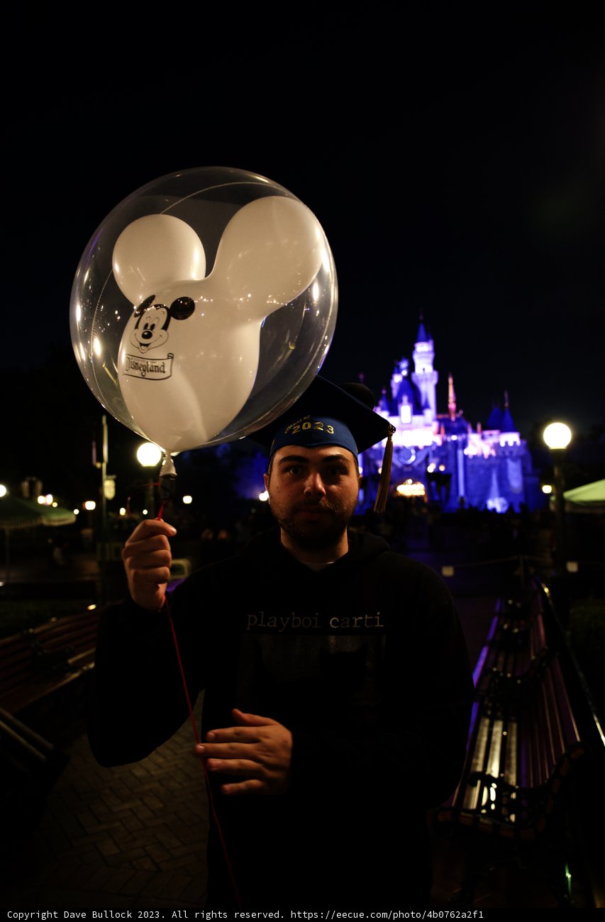 A Magical Night at Disneyland with Wes