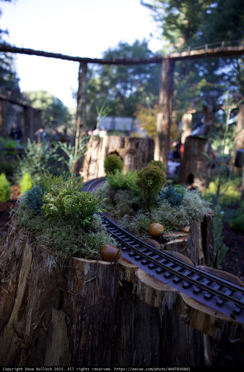 Whimsical Woodland Railway