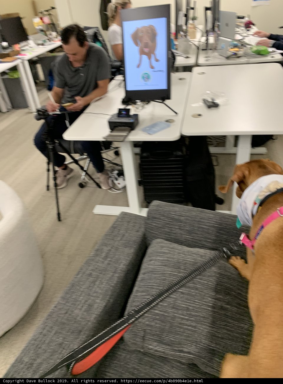 Man's Best Friend gets Tech Savvy