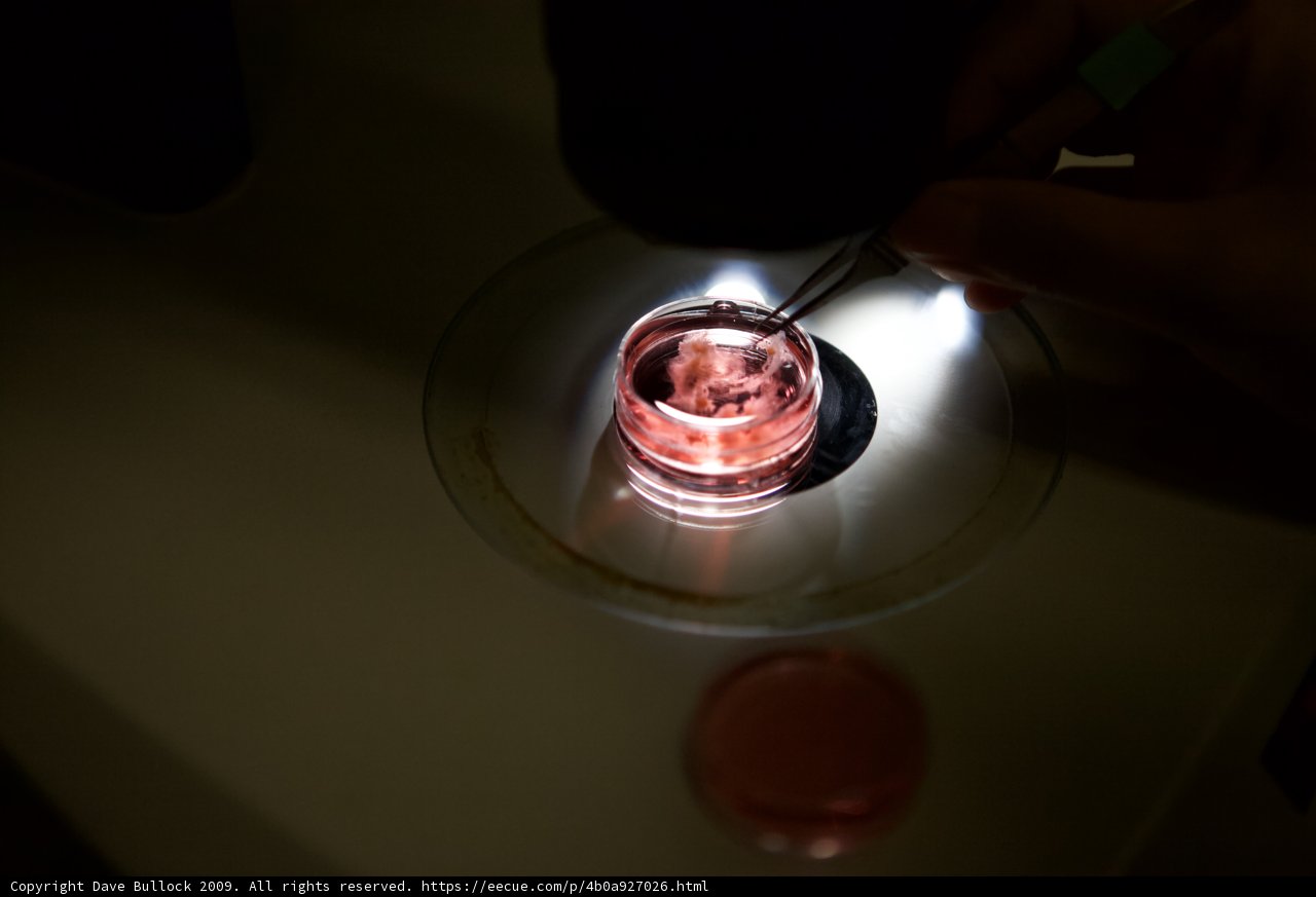 Illuminating the Glass Object
