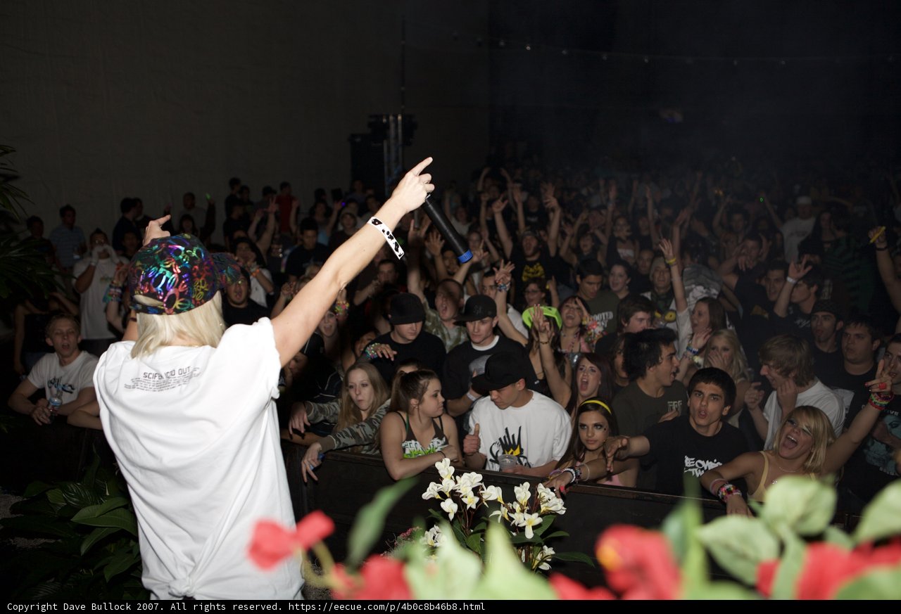Captivating the Crowd