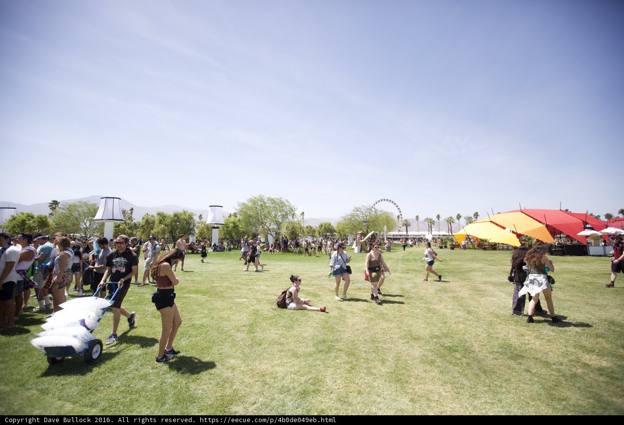 Grass Fun at Coachella Festival