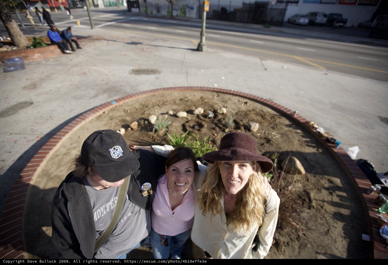 Guerrilla Gardeners Transform Urban Sidewalk Planter Together