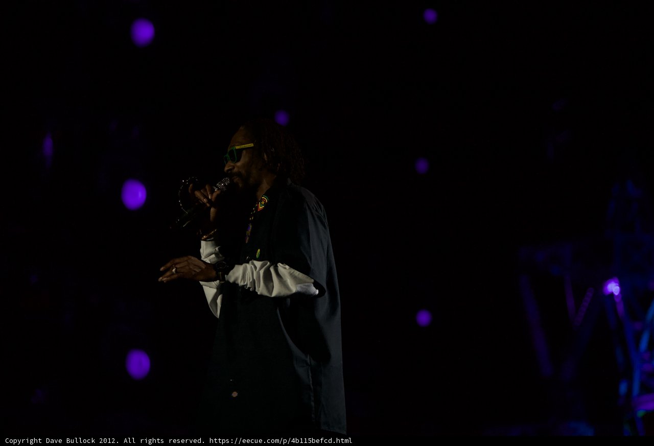 Snoop Dogg Lights Up the Super Bowl Halftime Show