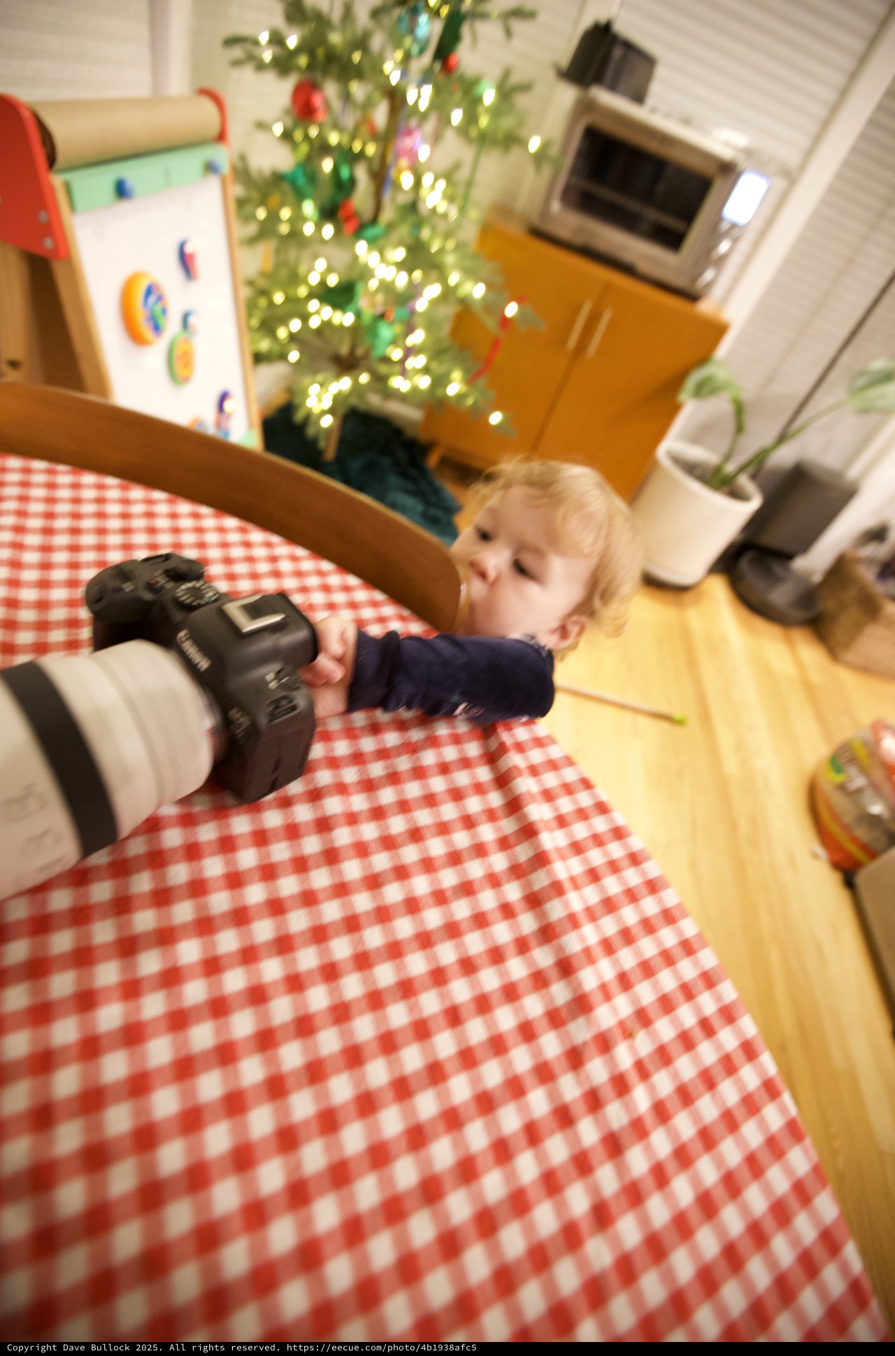 Young Child Reaching for Camera at Christmas Table