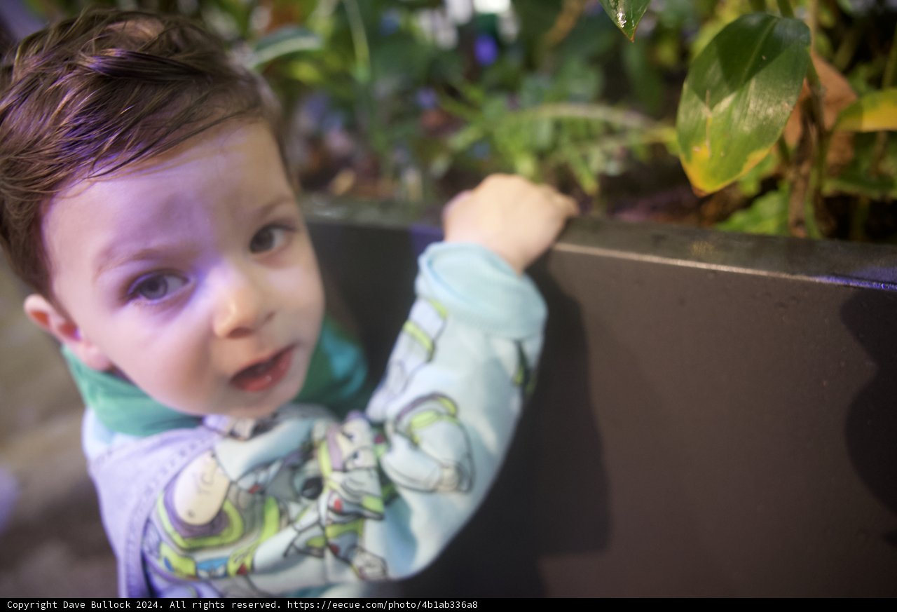 The Charm of Youth Amidst the Rainforest Flora