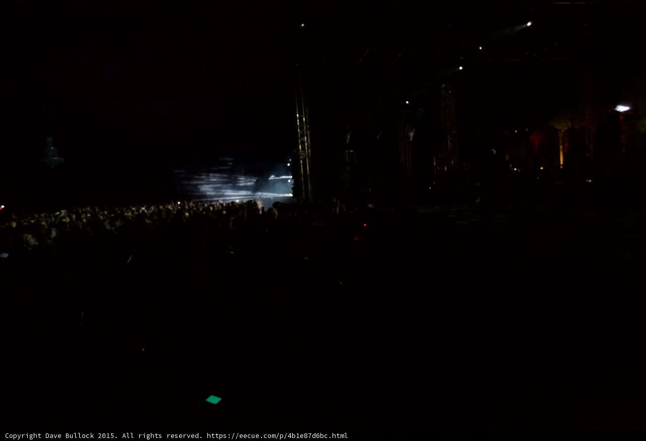 Nighttime Crowd at Coachella