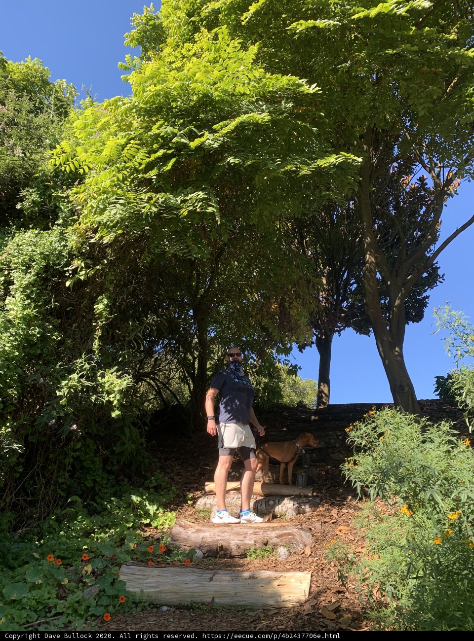 Man and Dog on Staircase in Golden Gate Park