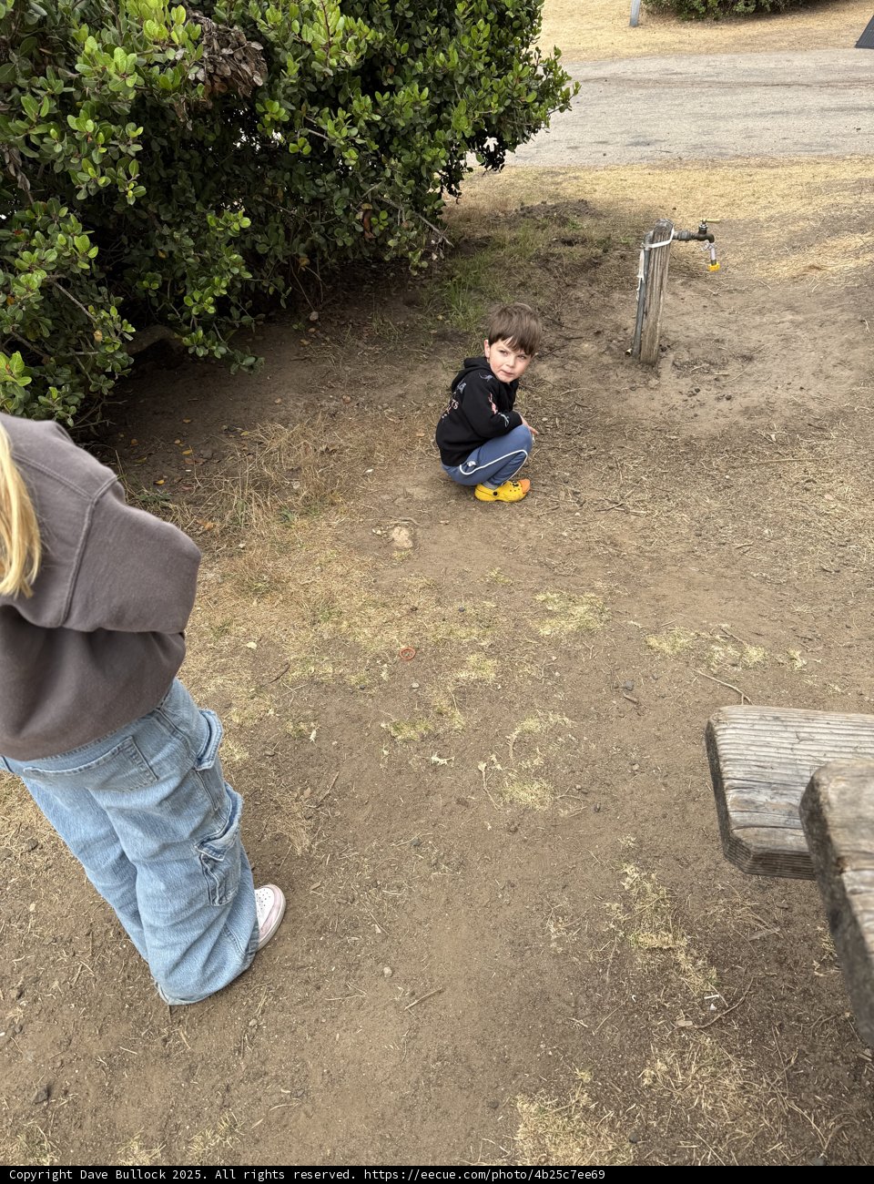 Curious Explorers in Cambria