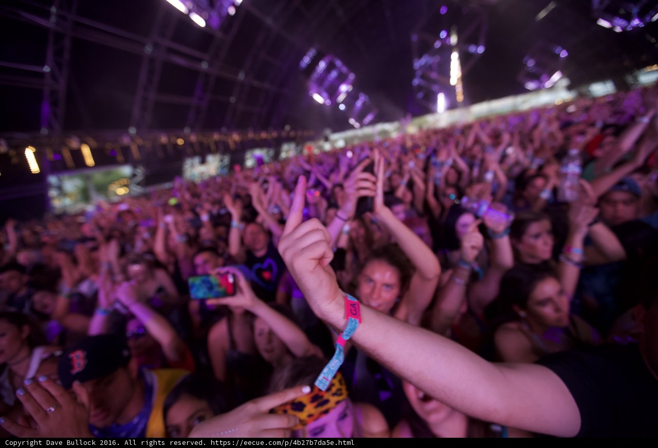 Coachella Crowd Goes Wild