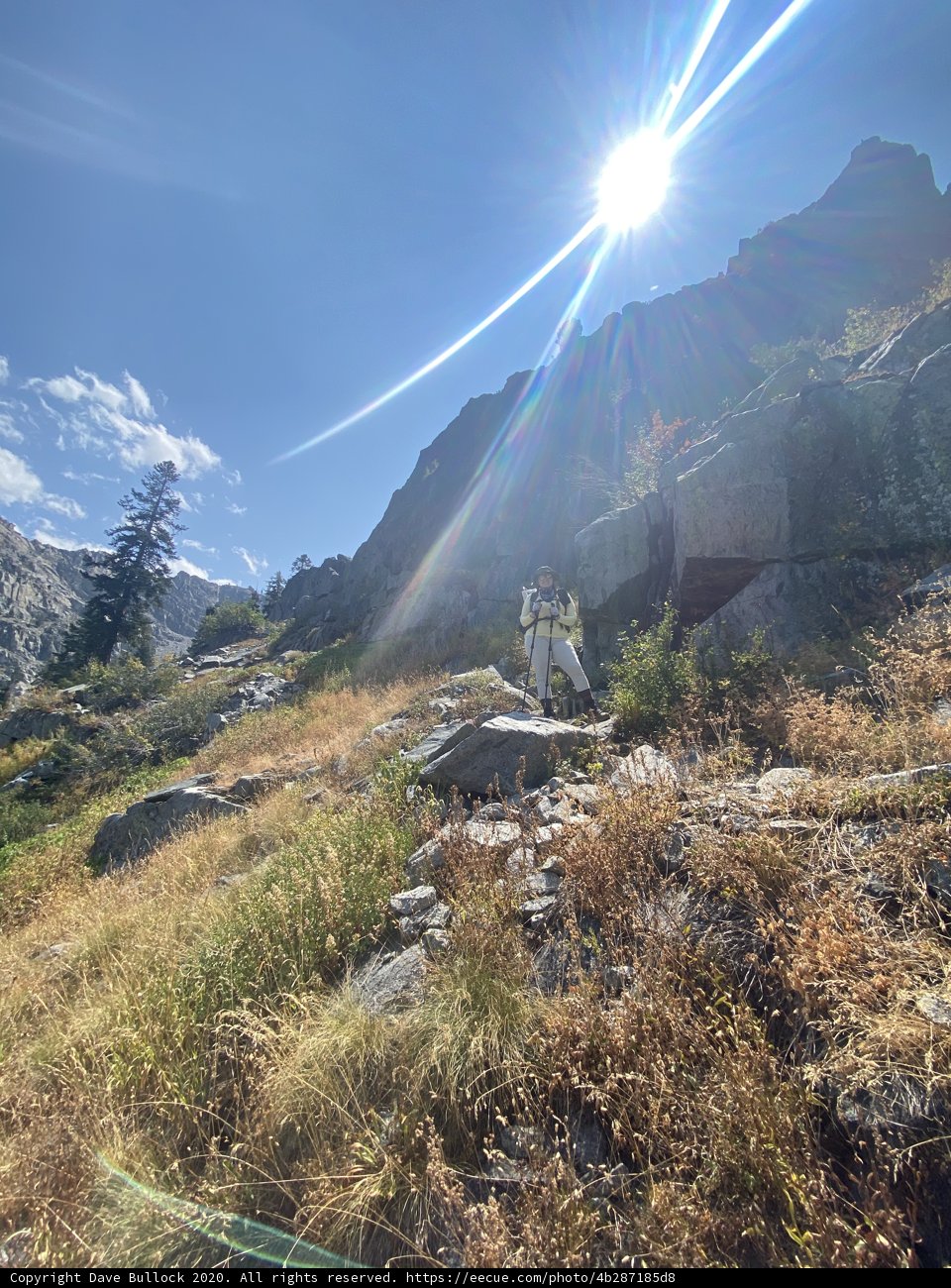 Standing Tall in the Desolation Wilderness