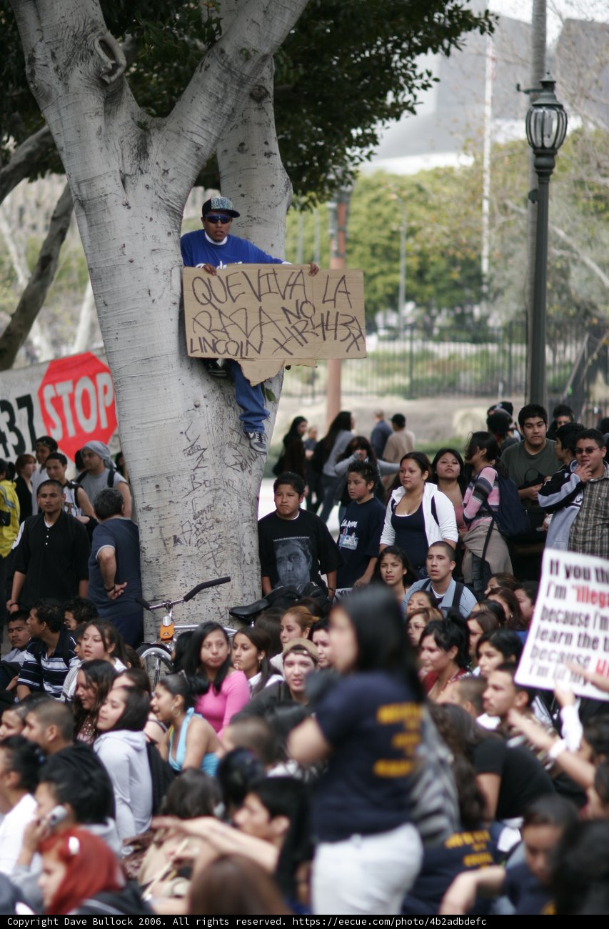School Walkout Protesters Gather Around Tree