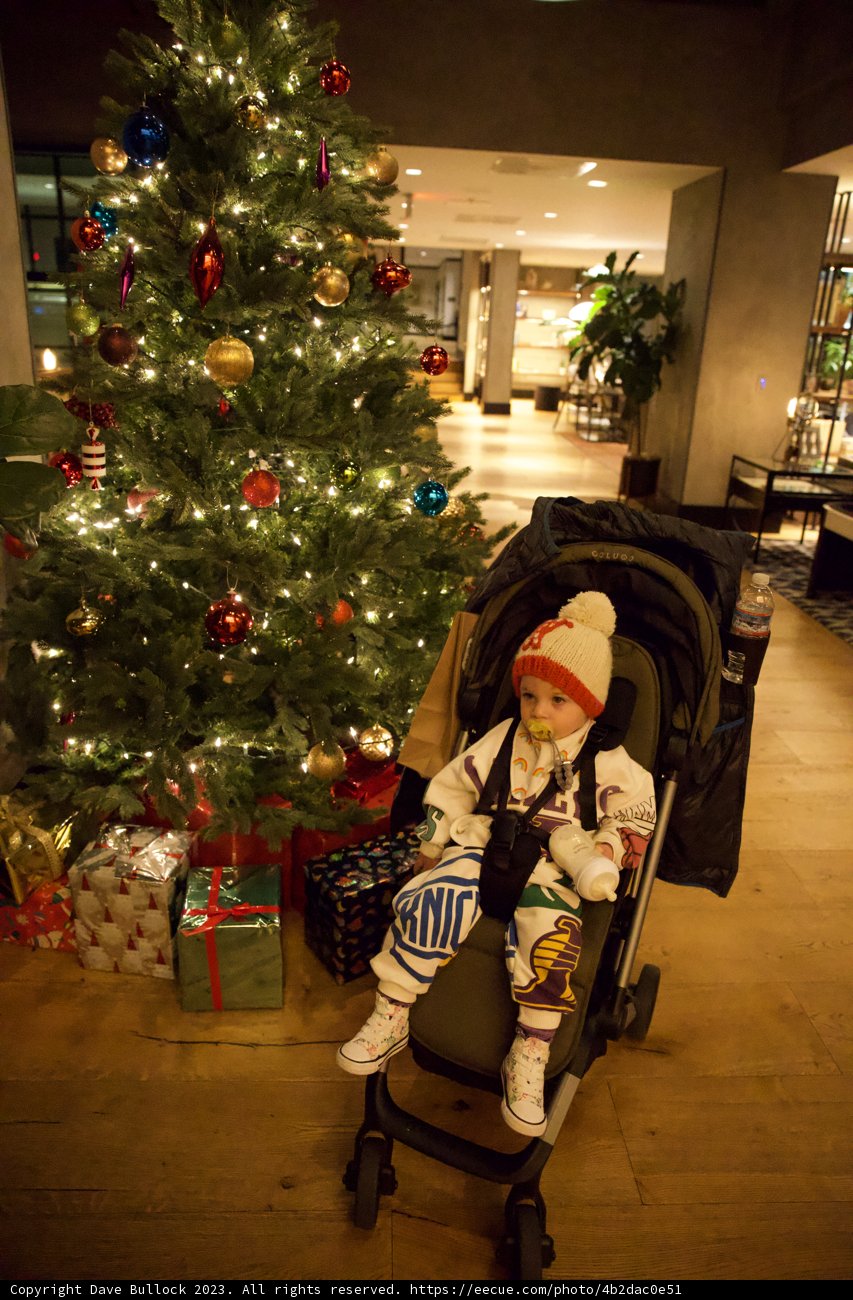 Christmas Wonder: Baby's First Festive Season in Japan Town, 2023