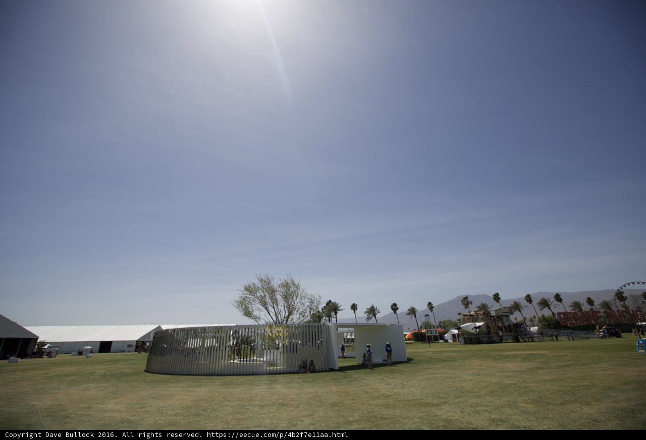 The White Structure in the Field