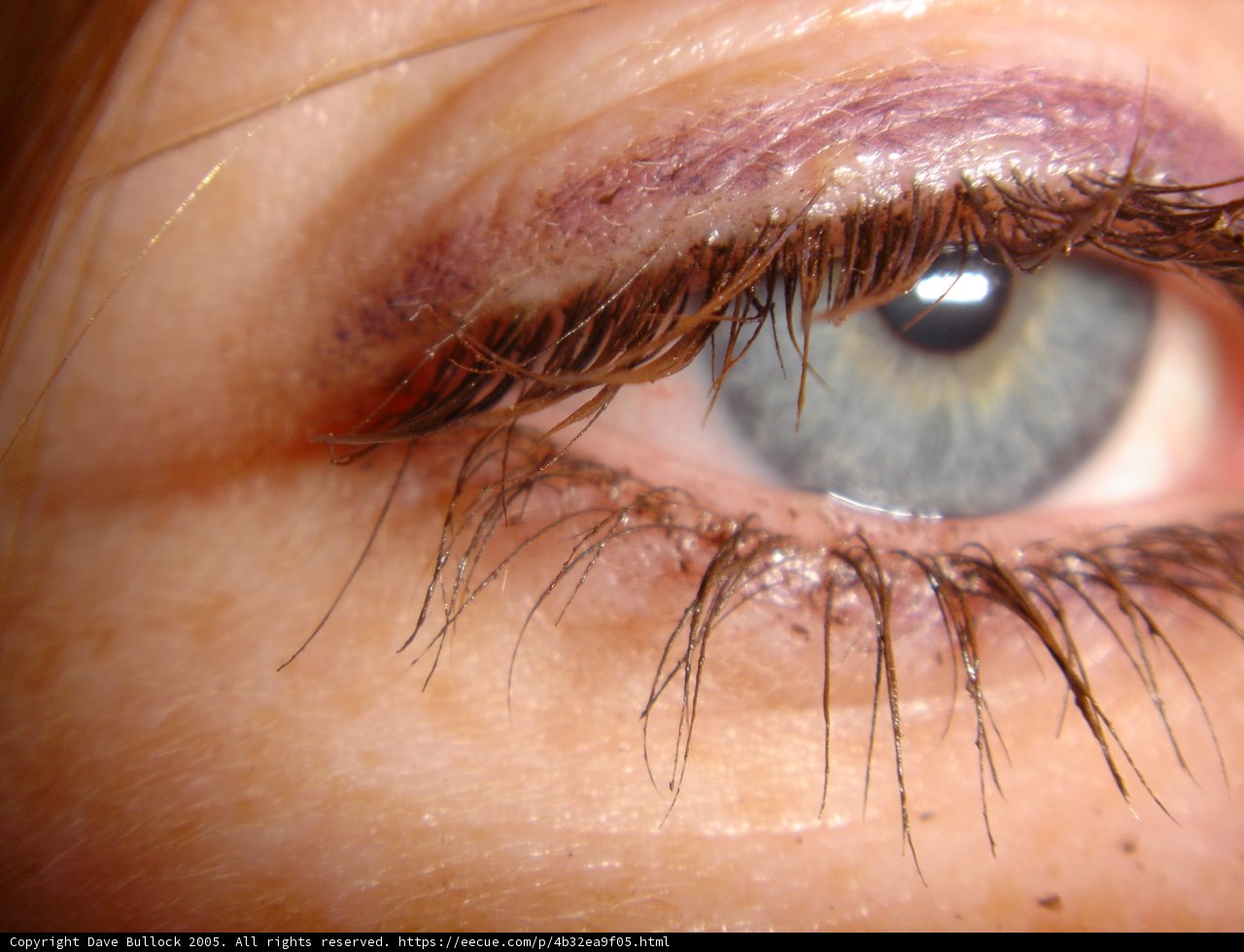 Lash Love