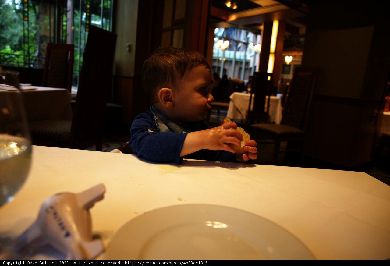 Little Foodie's Disneyland Adventure