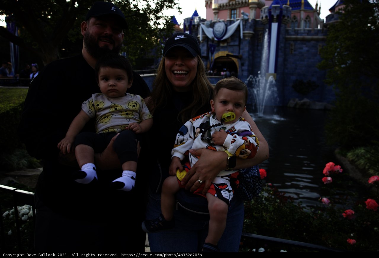 Magical Family Moments at Disneyland Castle
