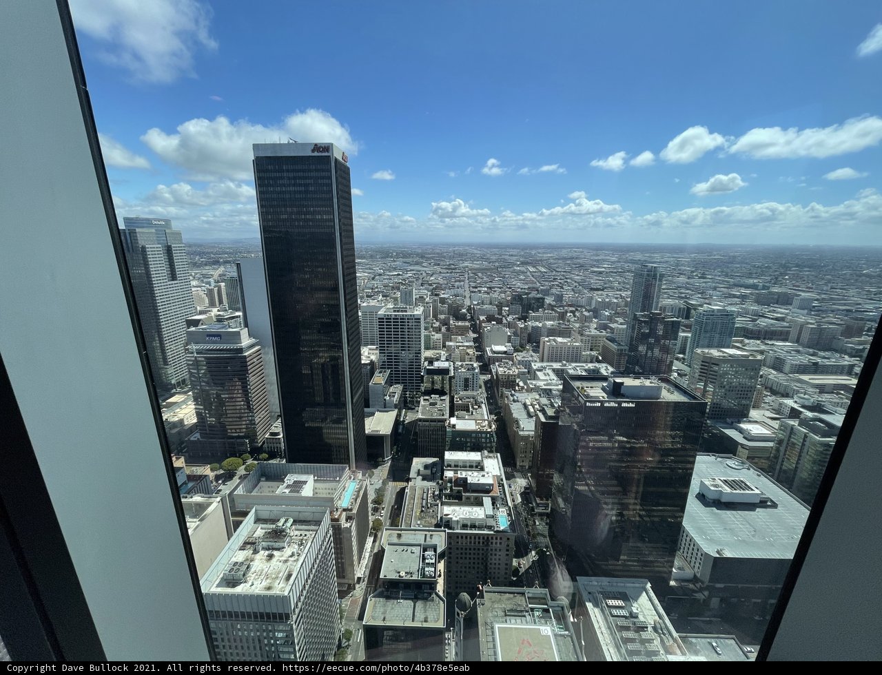 Overlooking the Urban Jungle