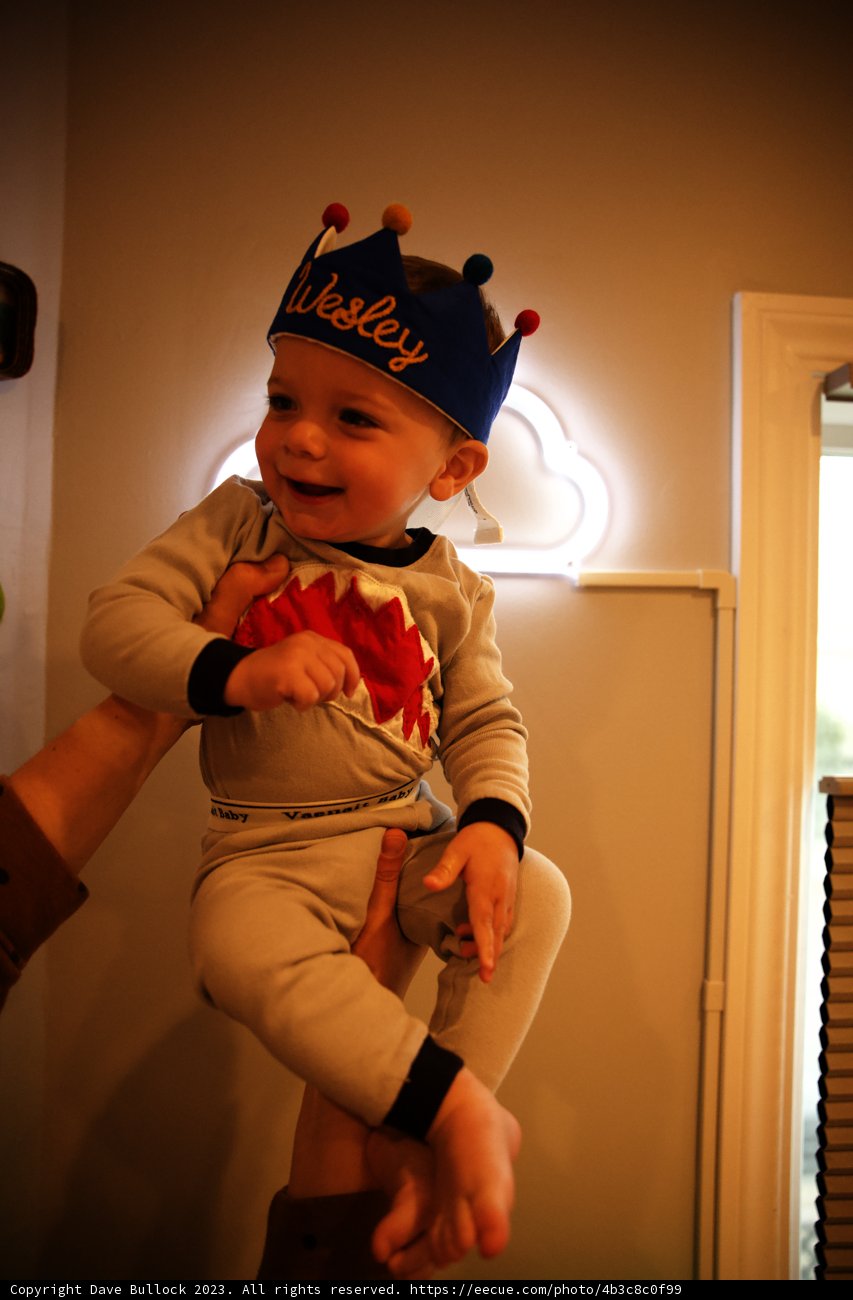 King for a Day: Wesley's First Birthday