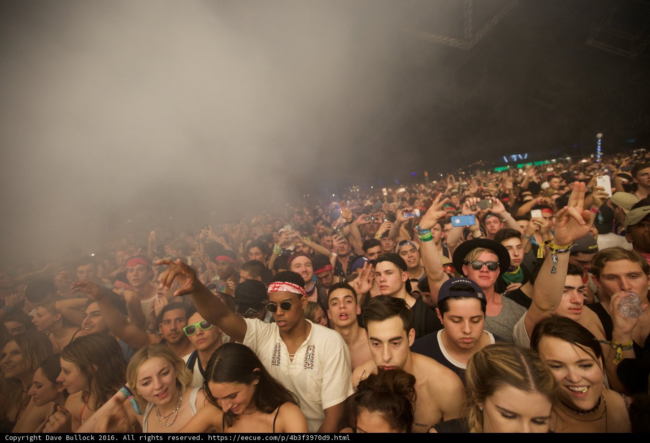 Smoke out the Night Neon Lights