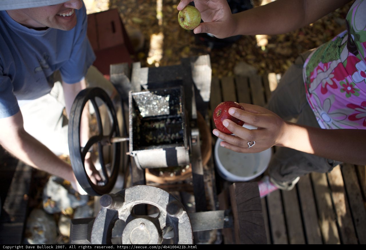 Operating the Fruit Press