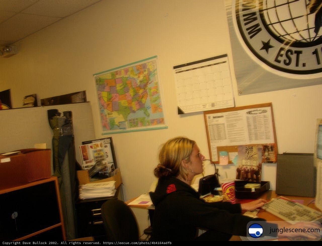 Woman at Work