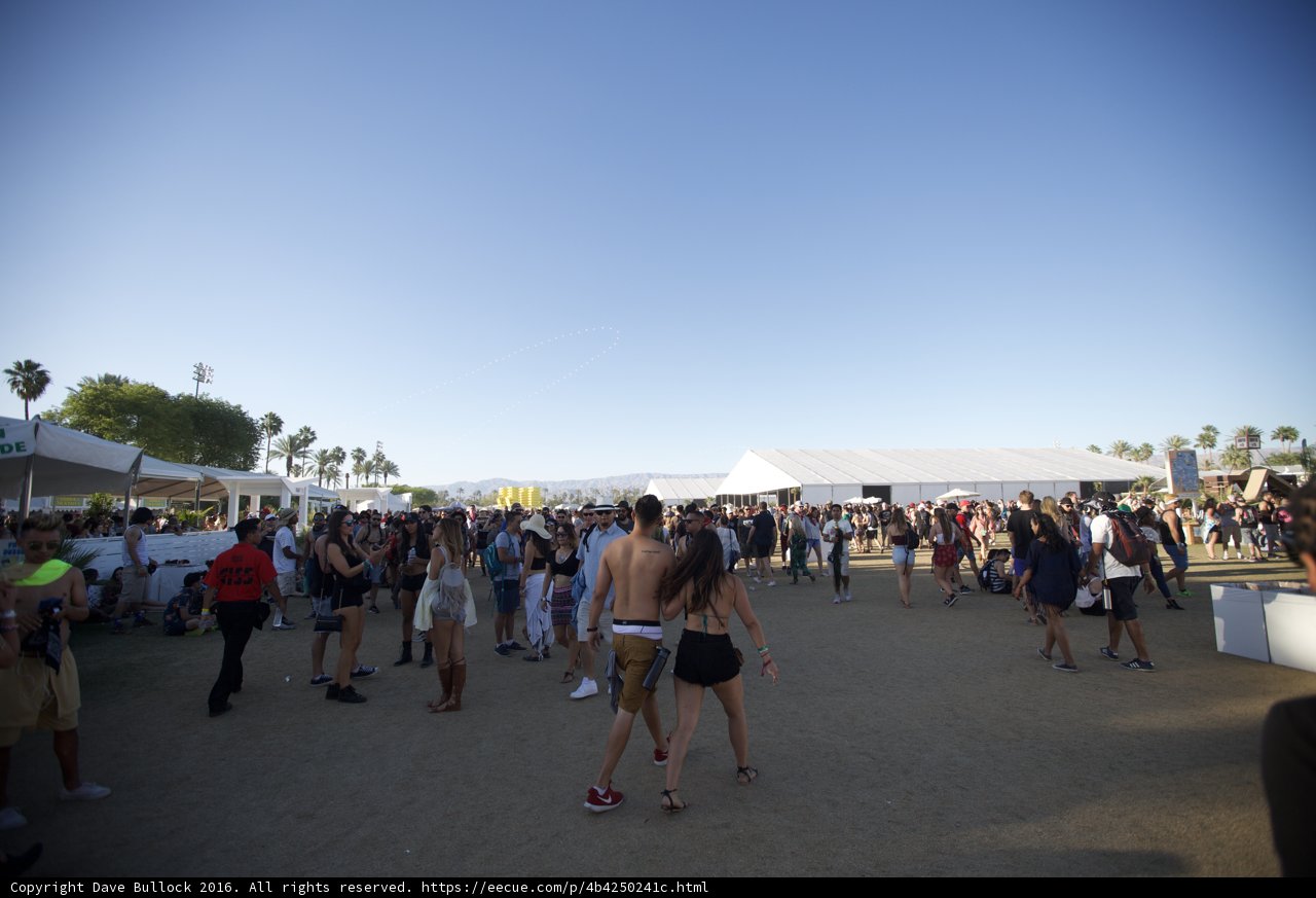 Festival Fun