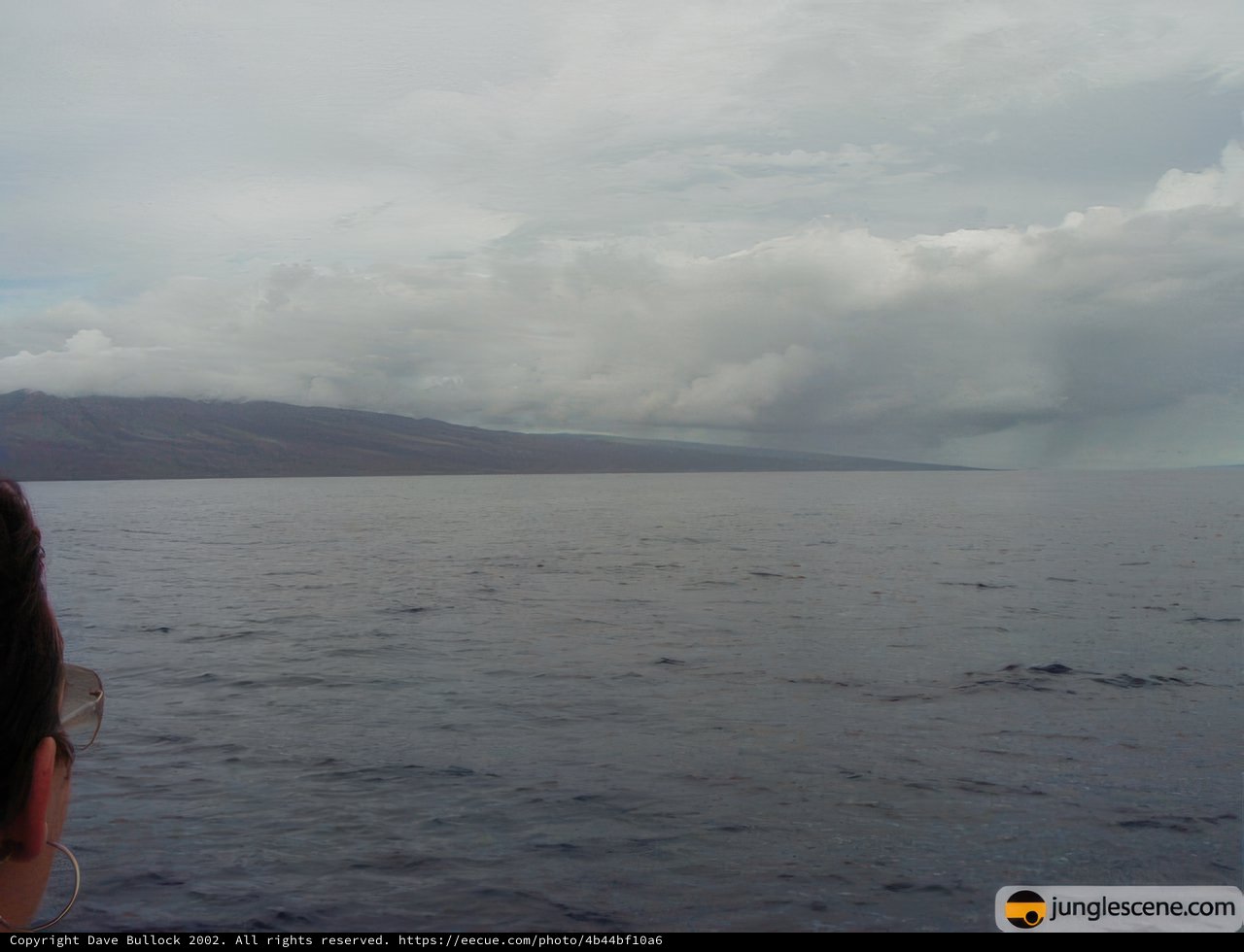 Ocean Views from the Boat