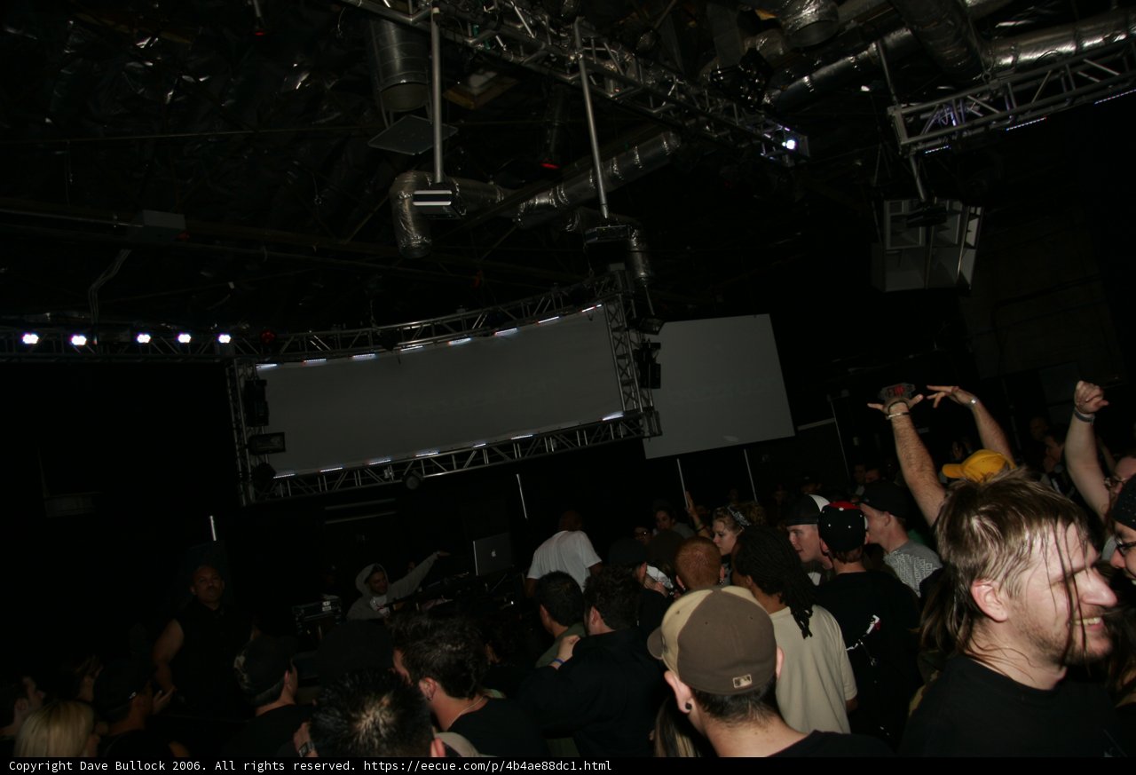Nightlife Concert Crowd