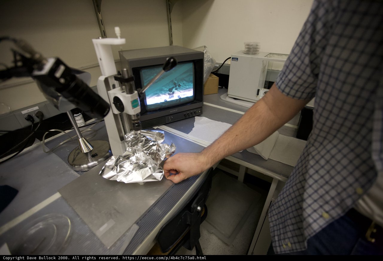 Examining Aluminium with a Microscope