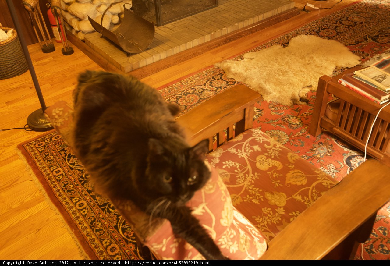 Wood and Whiskers