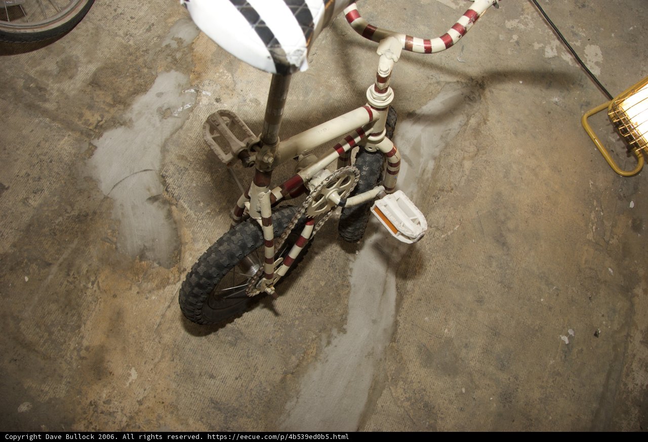 Two-Wheeled Adventure Awaits