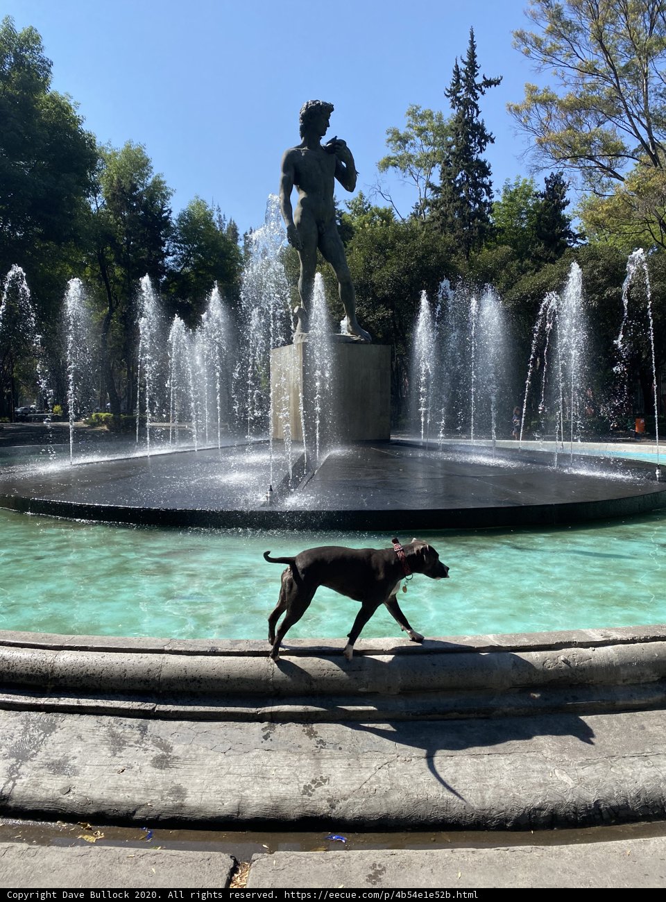 Serene Surroundings at Plaza Rio De Janeiro
