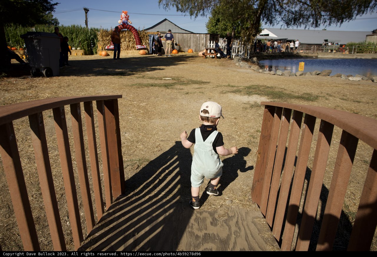 A Stroll on the Wooden Bridge