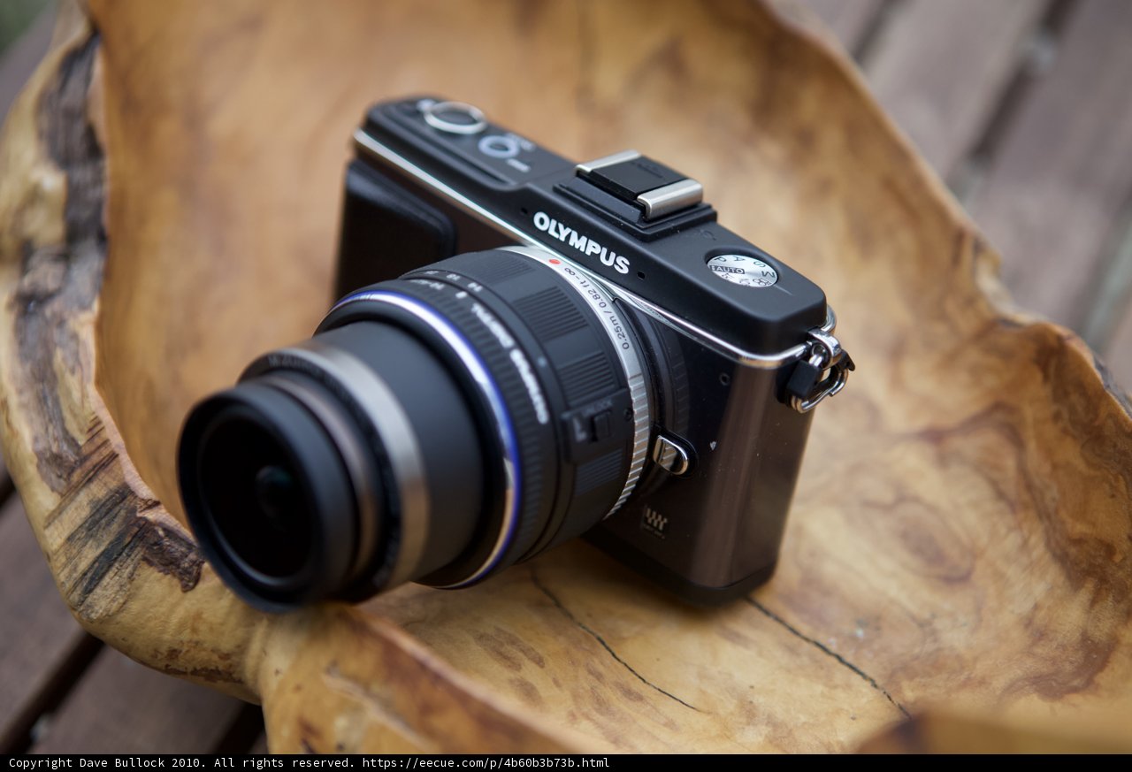 Camera on Wooden Bowl