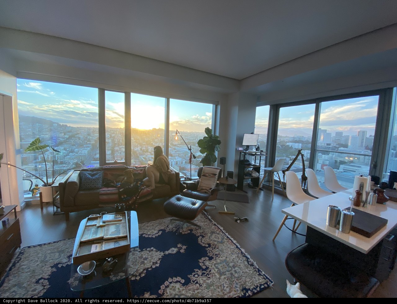 A Penthouse Living Room with a Stunning View of San Francisco